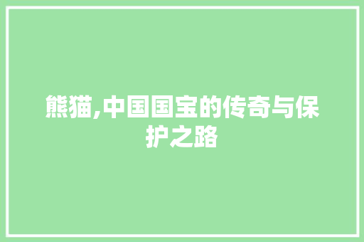 熊猫,中国国宝的传奇与保护之路 操作系统 熊猫,中国国宝的传奇与保护之路 操作系统