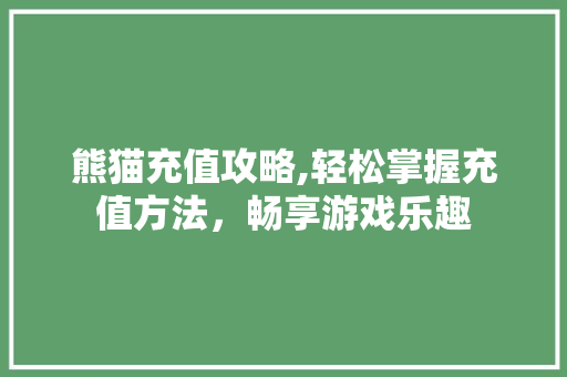 熊猫充值攻略,轻松掌握充值方法，畅享游戏乐趣 电脑故障维修