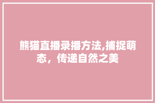 熊猫直播录播方法,捕捉萌态，传递自然之美 编程语言