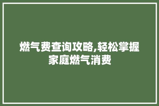 燃气费查询攻略,轻松掌握家庭燃气消费 电脑基础