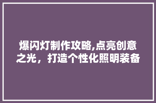 爆闪灯制作攻略,点亮创意之光,打造个性化照明装备 网络技术 爆闪灯制作攻略,点亮创意之光,打造个性化照明装备 网络技术