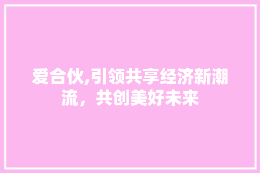 爱合伙,引领共享经济新潮流，共创美好未来 编程语言