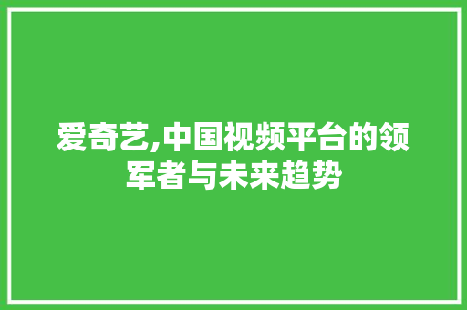 爱奇艺,中国视频平台的领军者与未来趋势 电脑基础
