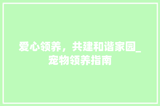 爱心领养，共建和谐家园_宠物领养指南 电脑基础