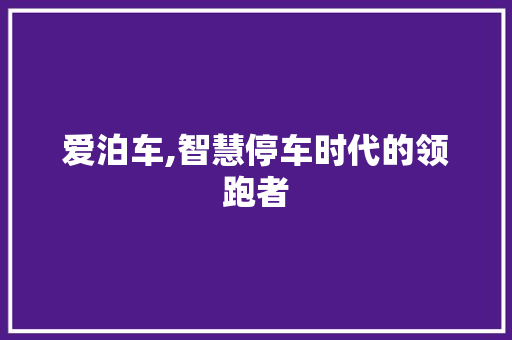 爱泊车,智慧停车时代的领跑者 操作系统