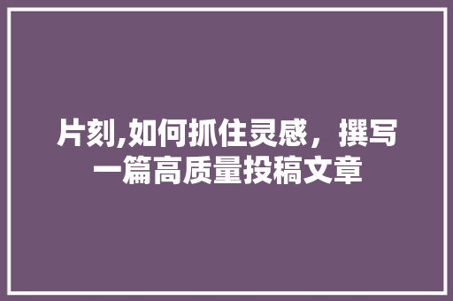 片刻,如何抓住灵感，撰写一篇高质量投稿文章 电脑基础