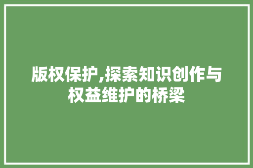 版权保护,探索知识创作与权益维护的桥梁 电脑基础