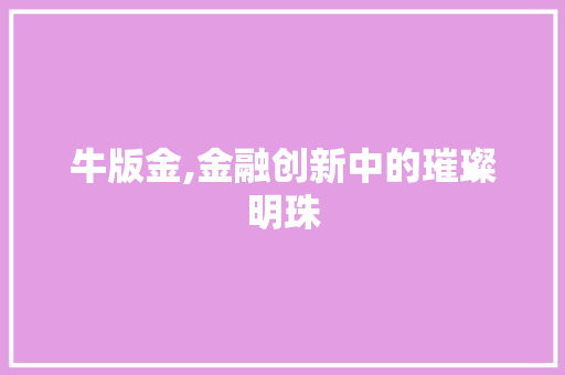 牛版金,金融创新中的璀璨明珠 电脑故障维修