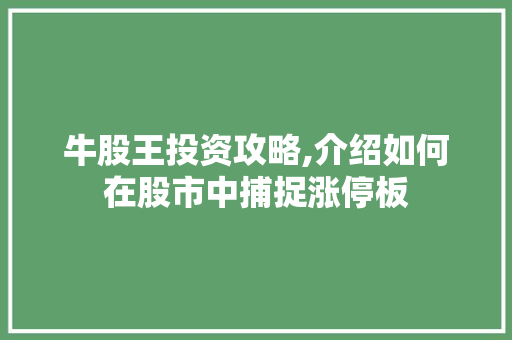 牛股王投资攻略,介绍如何在股市中捕捉涨停板 电脑故障维修