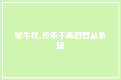 牧牛杖,传承千年的智慧象征 操作系统