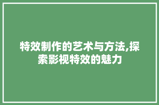 特效制作的艺术与方法,探索影视特效的魅力 电脑故障维修