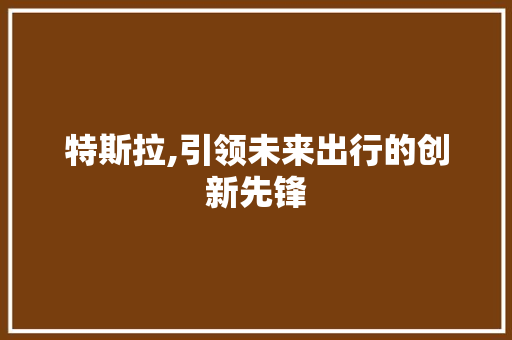 特斯拉,引领未来出行的创新先锋 电脑基础