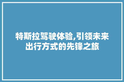 特斯拉驾驶体验,引领未来出行方式的先锋之旅 操作系统