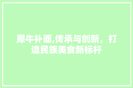 犀牛补面,传承与创新，打造民族美食新标杆 电脑基础