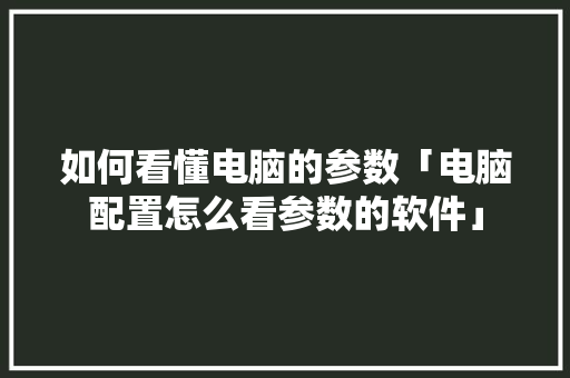 如何看懂电脑的参数「电脑配置怎么看参数的软件」 如何看懂电脑的参数「电脑配置怎么看参数的软件」 编程语言