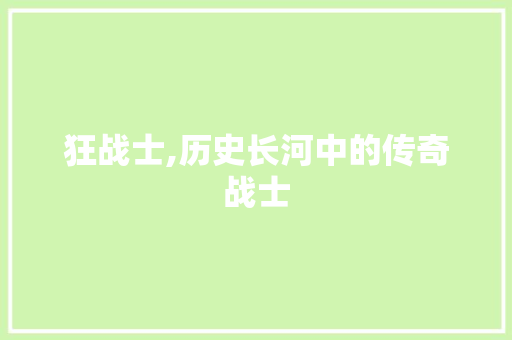 狂战士,历史长河中的传奇战士 电脑故障维修