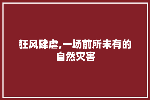 狂风肆虐,一场前所未有的自然灾害 电脑基础 狂风肆虐,一场前所未有的自然灾害 电脑基础