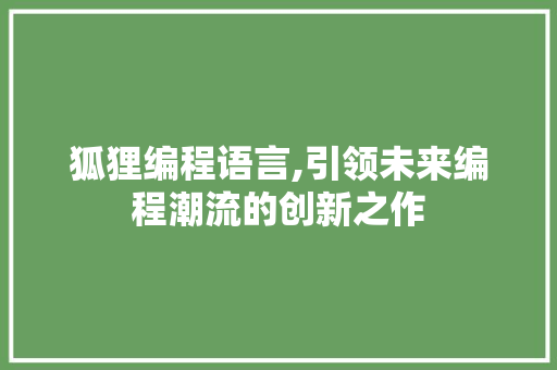 狐狸编程语言,引领未来编程潮流的创新之作 电脑基础