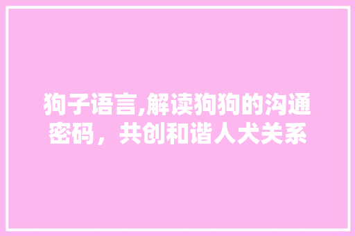 狗子语言,解读狗狗的沟通密码，共创和谐人犬关系 电脑基础