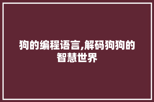 狗的编程语言,解码狗狗的智慧世界