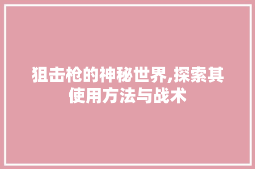 狙击枪的神秘世界,探索其使用方法与战术