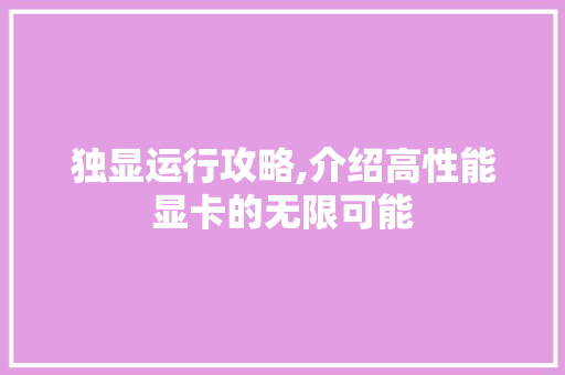 独显运行攻略,介绍高性能显卡的无限可能