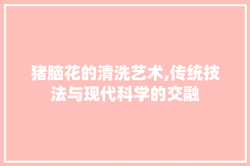 猪脑花的清洗艺术,传统技法与现代科学的交融 猪脑花的清洗艺术,传统技法与现代科学的交融