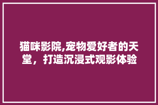 猫咪影院,宠物爱好者的天堂,打造沉浸式观影体验 猫咪影院,宠物爱好者的天堂,打造沉浸式观影体验
