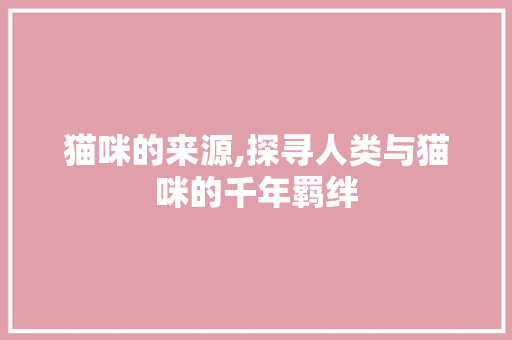 猫咪的来源,探寻人类与猫咪的千年羁绊 猫咪的来源,探寻人类与猫咪的千年羁绊