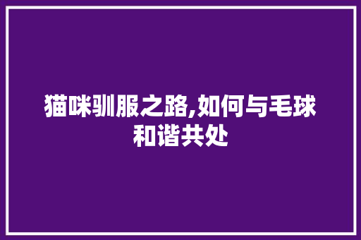 猫咪驯服之路,如何与毛球和谐共处 猫咪驯服之路,如何与毛球和谐共处