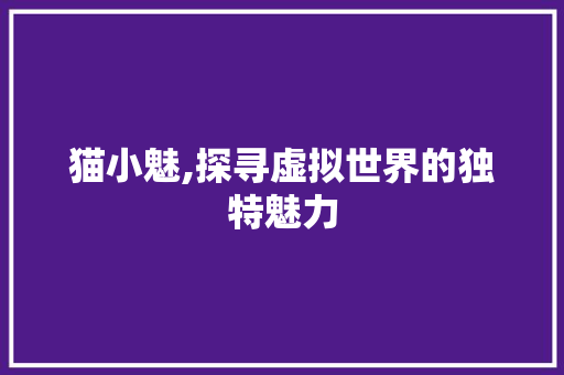 猫小魅,探寻虚拟世界的独特魅力 猫小魅,探寻虚拟世界的独特魅力