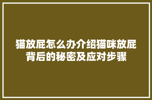 猫放屁怎么办介绍猫咪放屁背后的秘密及应对步骤 猫放屁怎么办介绍猫咪放屁背后的秘密及应对步骤