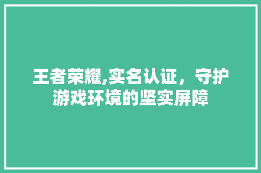 王者荣耀,实名认证，守护游戏环境的坚实屏障