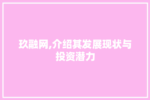 玖融网,介绍其发展现状与投资潜力