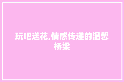 玩吧送花,情感传递的温馨桥梁 玩吧送花,情感传递的温馨桥梁