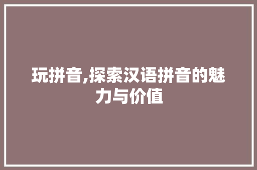 玩拼音,探索汉语拼音的魅力与价值