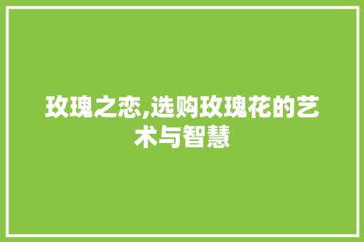 玫瑰之恋,选购玫瑰花的艺术与智慧 玫瑰之恋,选购玫瑰花的艺术与智慧