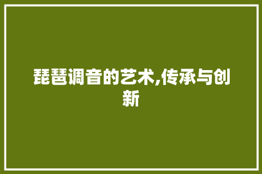 琵琶调音的艺术,传承与创新