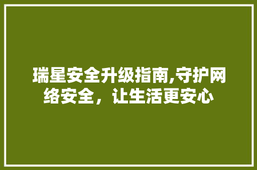 瑞星安全升级指南,守护网络安全，让生活更安心