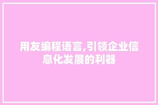 用友编程语言,引领企业信息化发展的利器