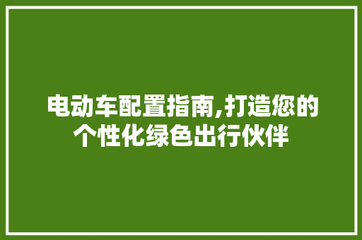 电动车配置指南,打造您的个性化绿色出行伙伴 电动车配置指南,打造您的个性化绿色出行伙伴