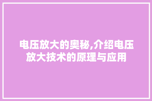 电压放大的奥秘,介绍电压放大技术的原理与应用