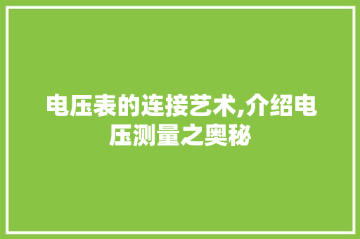电压表的连接艺术,介绍电压测量之奥秘 电压表的连接艺术,介绍电压测量之奥秘