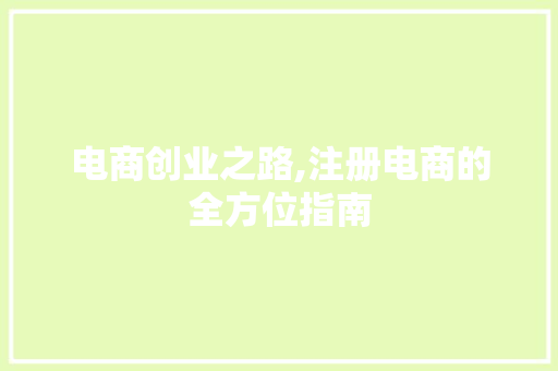 电商创业之路,注册电商的全方位指南