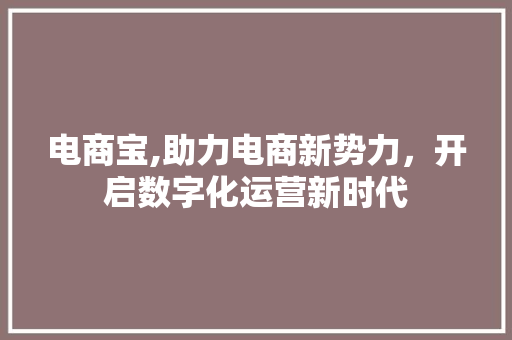 电商宝,助力电商新势力,开启数字化运营新时代 电商宝,助力电商新势力,开启数字化运营新时代