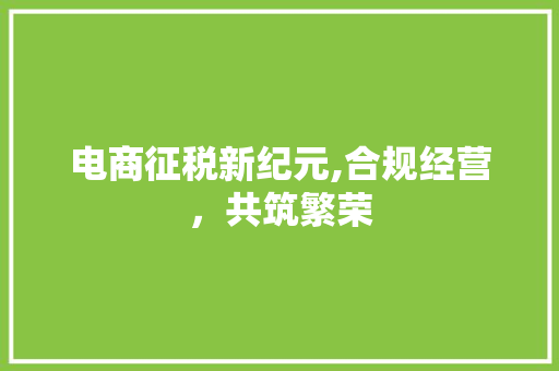 电商征税新纪元,合规经营,共筑繁荣 电商征税新纪元,合规经营,共筑繁荣