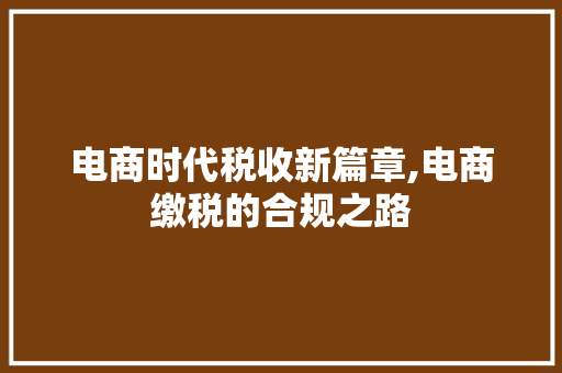 电商时代税收新篇章,电商缴税的合规之路