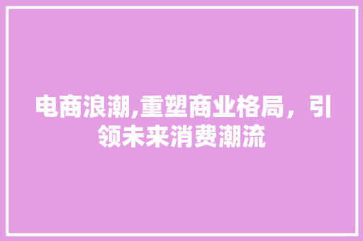 电商浪潮,重塑商业格局，引领未来消费潮流