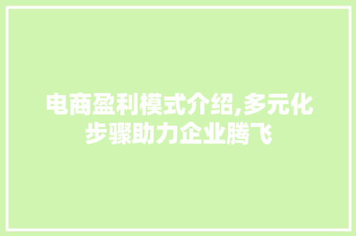 电商盈利模式介绍,多元化步骤助力企业腾飞