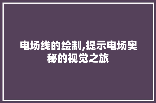 电场线的绘制,提示电场奥秘的视觉之旅